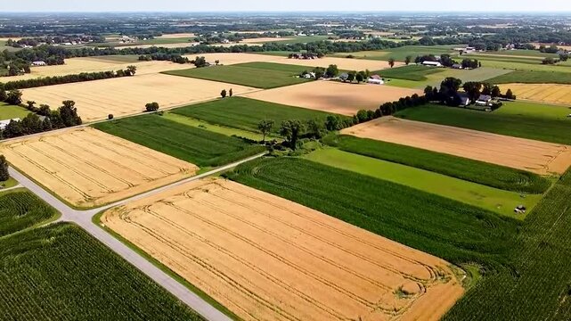 Aerial Drone View of Summer Farmland with Patchwork Fields