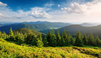 Obraz premium beautiful summer forest landscape panorama view hiking travel outdoor concept mountain view journey in the carpathians mountains ukraine