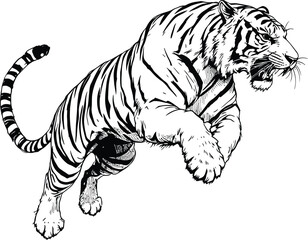 A black and white illustration of a tiger leaping forward with an aggressive expression on its face