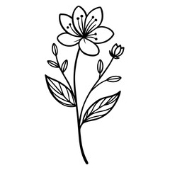 Elegant Line Art Flower Illustration Simple Floral Design