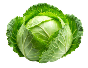Organic Green Cabbage with Healthy Leaves, isolated on a transparent background