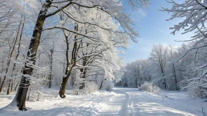 Fototapeta premium Dreamy snowy forest