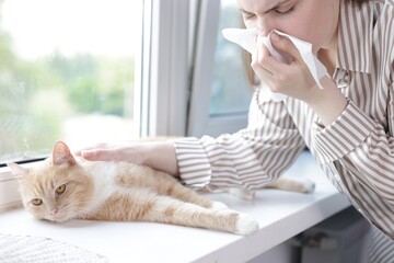 Woman suffering from allergy with her cat near window at home, closeup