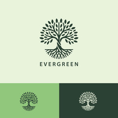 Green Tree Abstract Logo Design, Nature Logo