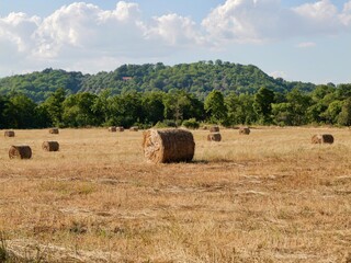 Hay bales in the field. Lazio region, Italy