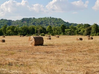 Hay bales in the field. Lazio region, Italy
