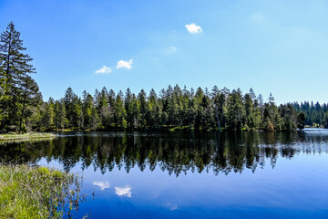 étang de la gruère, la gruère, See, Moorsee, Moor, Weiher, Hochmoor, Wanderweg, Spiegelung, Wasserpflanzen, Wald, Waldweg, Wasserpflanzen, Torfmoos, Jura, Naturschutz, Frühling, Sommer, Schweiz