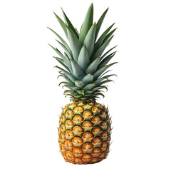 pineapple on white background