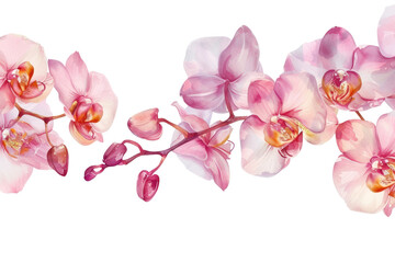 Naklejka premium PNG Orchid blossom flower plant.