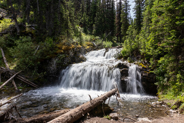 waterfall in the forest