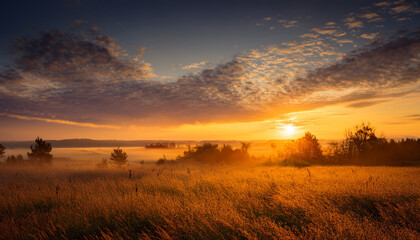 Fototapeta premium golden morning sky sunrise with warm glowing clouds peaceful landscape tranquil mood nature beauty
