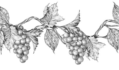 Grapevine branch with leaves and berries. Seamless border, Hand drawn with pencil. Graphic drawing. For food, packaging and cosmetics