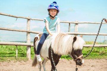 Cute little girl petting a pony in a farm