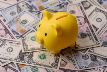 USA money, cash paper dollars, american business and financial transactions. Cash dollars