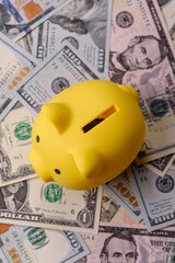 USA money, cash paper dollars, american business and financial transactions. Cash dollars