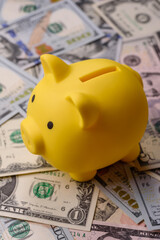 USA money, cash paper dollars, american business and financial transactions. Cash dollars