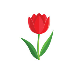 Elegant Red Tulip Vector Illustration with Green Leaves