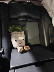 Cute plush toy with smiley face sitting on a car seat during a nighttime drive