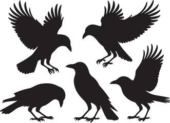 Obraz premium Five black bird silhouettes in various poses birds crows