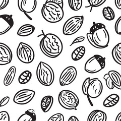 Assorted nuts and acorns hand drawn illustration walnuts almonds