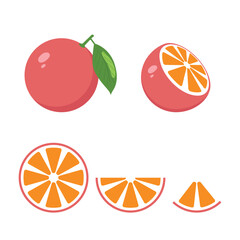 Orange fruit Vector. Set fresh Orange fruits and slice. Isolated on white background.