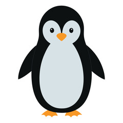 penguin on a white background