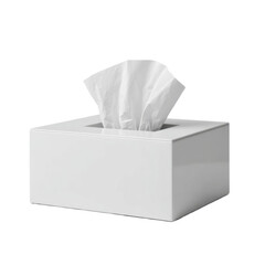 White box with a white tissue inside