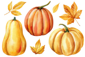 Autumn pumpkins and yellow fall leaves, watercolor clipart set for Thanksgiving and seasonal decor, botanical painting