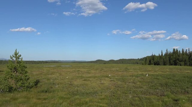 Klocka, Sweden A green open landscape in the J&auml;mtland region.