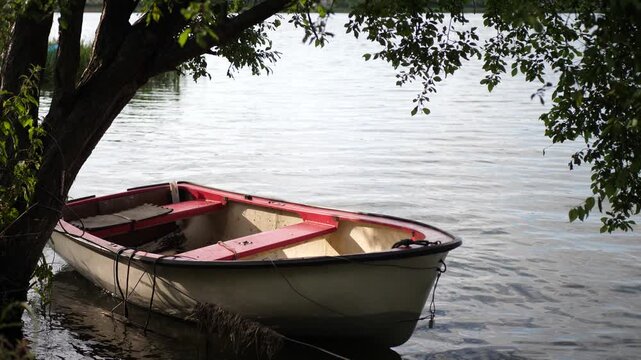 A rowboat sways in the breeze, anchored near the lake shore beneath overhanging tree branches. Calm water, natural setting, peaceful summer day.