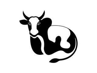 black and white cow