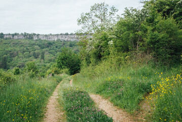 Obraz premium Route de campagne. Chemin forestier. Balade champêtre. Route déserte en été. Route mal entretenue. Route bordée de bois et buissons. 