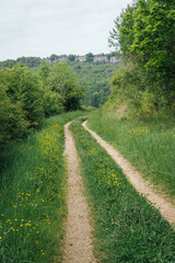 Route de campagne. Chemin forestier. Balade champêtre. Route déserte en été. Route mal entretenue. Route bordée de bois et buissons. 