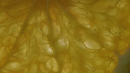 Bubbly orange slice submerged in sparkling water under bright blue background - Powered by Adobe