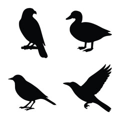 Diverse Bird Silhouettes A Study in Avian Forms and Shapes on Display.