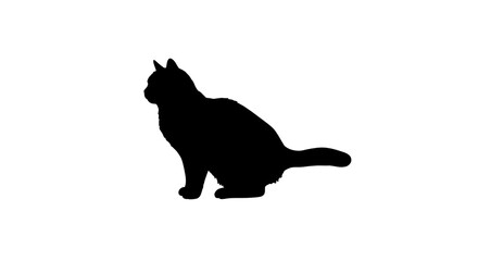 Black Silhouette of a Cat on Transparent Background

