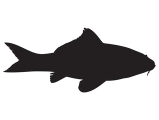  KOI FISH SILHOUETTE