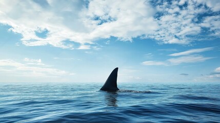 Naklejka premium Shark fin cutting through the ocean surface beneath a blue sky filled with soft clouds, evoking tension and the mystery of the deep sea.