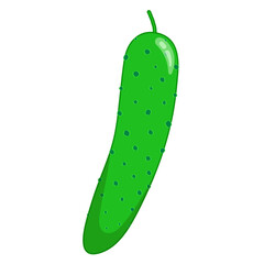 Isolated green cucumber on white background. Vegetable vector illustration for children's entertainment, menu, print.