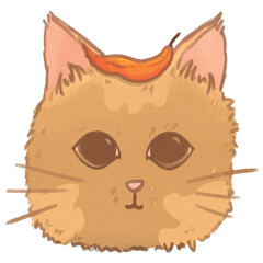 Cute ginger kitten wearing an autumn leaf on its head