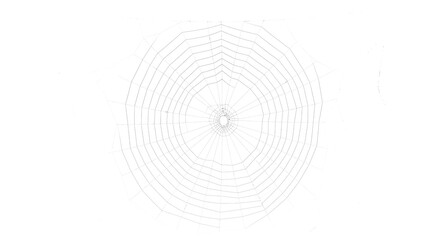 Spider Web Isolated on Transparent Background