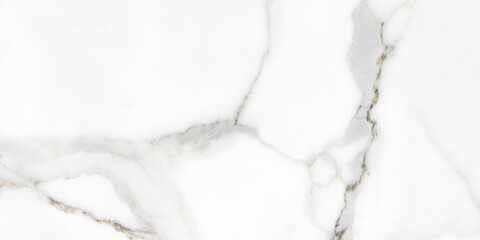 veined white carrara marble background