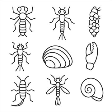 Macroinvertebrate Line Icons. Line style icons of Macroinvertebrates: dragonfly nymph, mayfly larva, caddisfly case, stonefly
