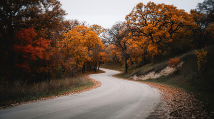 Obraz premium winding road disappears into horizon through vibrant autumn forest surrounded by trees adorned in fiery shades of