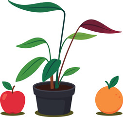 🌿Vibrant potted plant with red & green leaves between apple 🍎 & orange 🍊—freshen your designs! Download now to infuse botanical zest!
