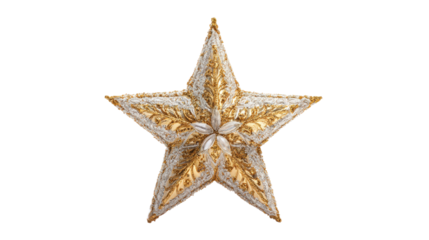 Gold and Silver Glitter Star Ornament with Intricate Design on Transparent Backdrop
