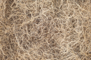 patterns and textures of plant roots