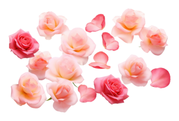 PNG Flying flower group petals roses arrangement.