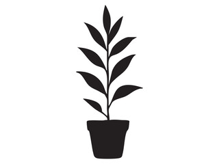 Fototapeta premium Black silhouette of potted plant with leaves isolated on white background. concept of houseplant, interior decor, nature icon, garden element, botanical graphic illustration