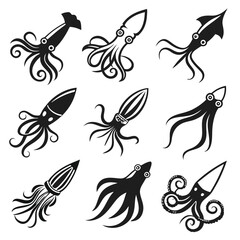 Stylized squid illustrations octopus cephalopod
